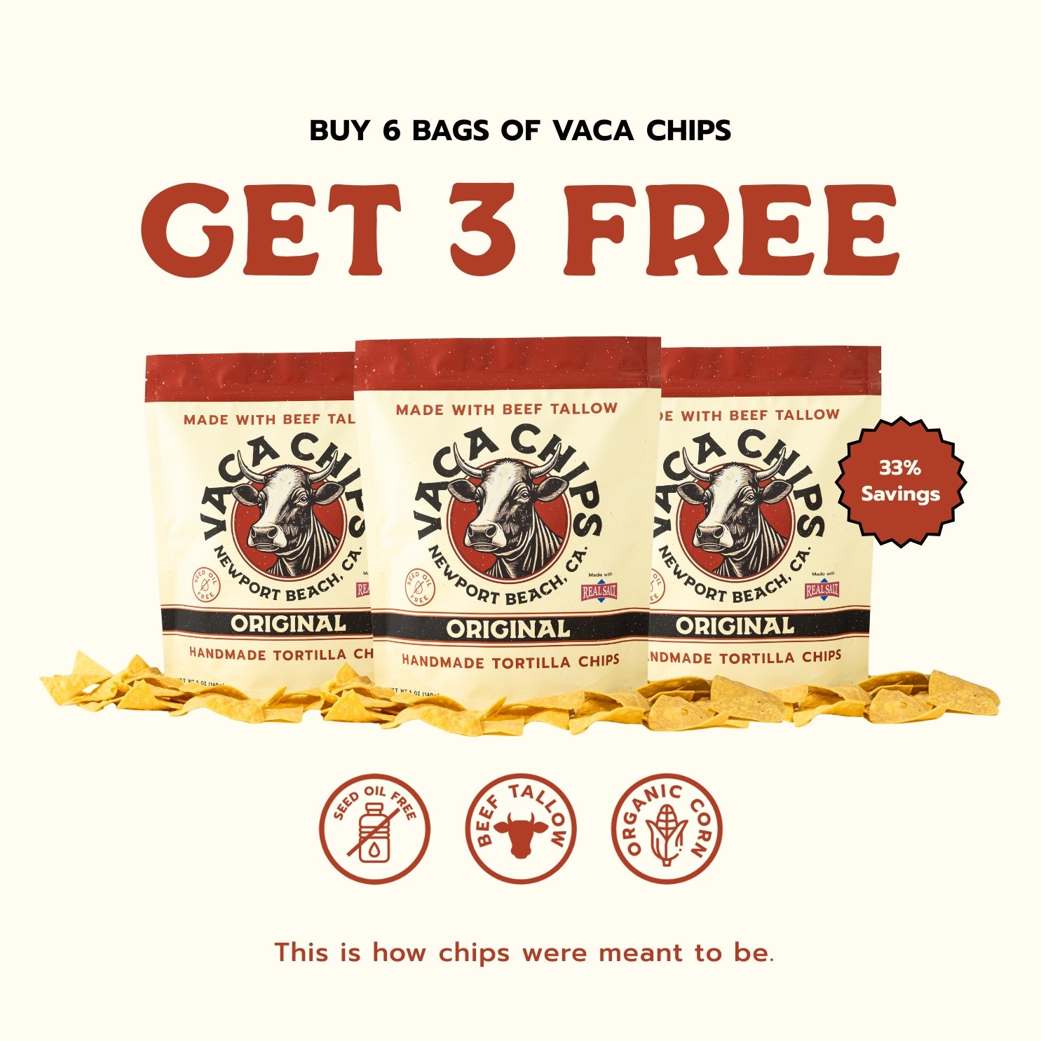 Promotional graphic for Vaca Chips with packaging and text on a white background