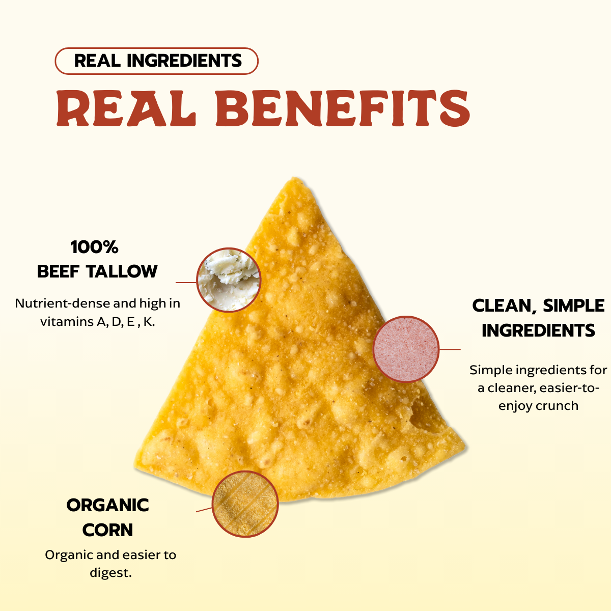 Vaca Chips Variety Pack